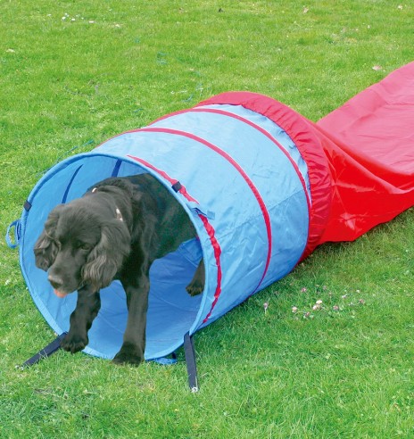 Agility tunnel, 5m (Pawise)