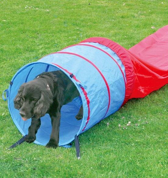 Agility tunnel, 5m (Pawise)