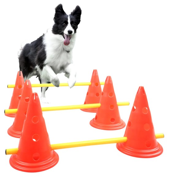 Agility tõkete komplekt koonuspostidega (Pawise)