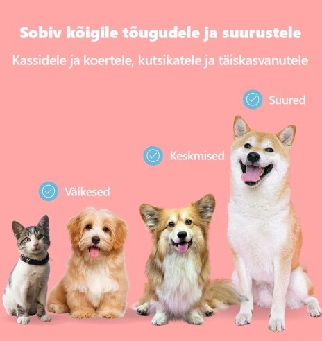 Koera ja kassi hambahari, 2 tk (Pawise)