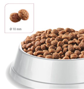 BEWI CAT kuivtoit kassile Delicaties, kodulinnuliha ja riisiga, gluteenivaba–Kuivtoidud kassidele–BEWI CAT–Valgekihv 2