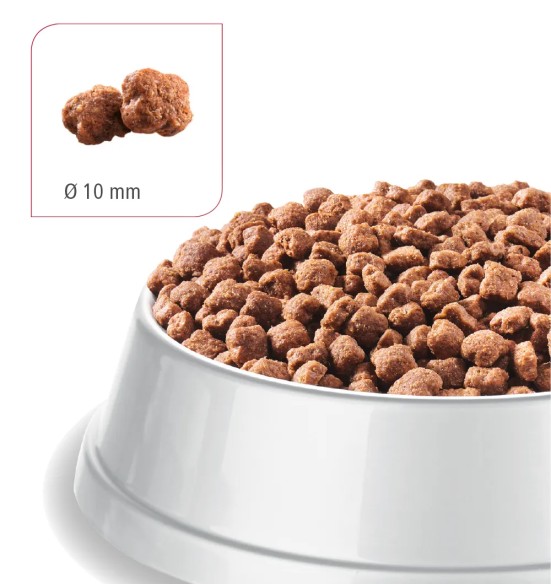 BEWI CAT kuivtoit kassile, ookeanikalaga