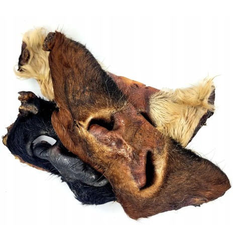 Носы говяжьи с шерстью - натуральные лакомства для собак (Naturaalsed koeranäksid)