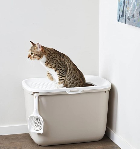 HOP-IN liivakast kassile, erinevad värvused, kassitualett (Savic)