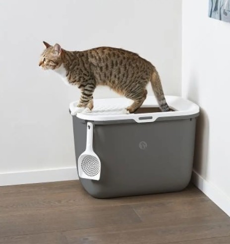 Savic HOP IN liivakast kassile, valge-antratsiit