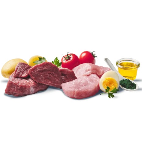 DOGGY Dog консервы для собак с говядиной и...