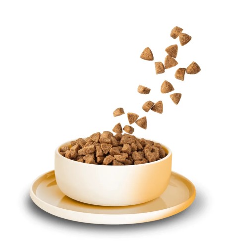 KITTY Cat сухой корм для кошек с куриным мясом,...