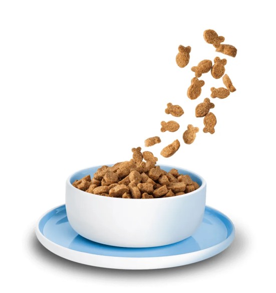 KITTY Cat kuivtoit kassidele kalaga, teraviljavaba kassitoit