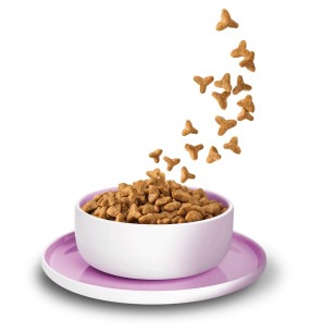 Консервы для собак Liebling´s Mahlzeit - ДИЧЬ и ГОВЯДИНА с бататом, клюквой и подсолнечным маслом – Консервы для собак – GranataPet Liebling´s Mahlzeit – Valgekihv 2