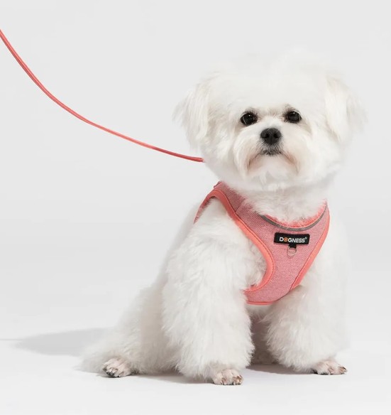 Traksid ja jalutusrihm väikesele lemmikloomale, roosa (Dogness ELF)