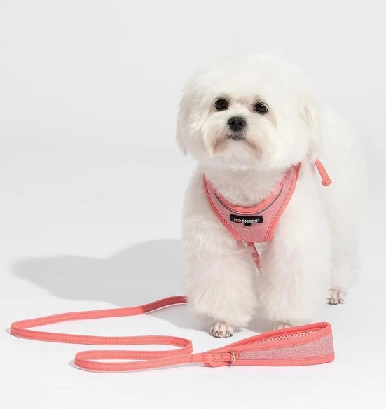 Traksid ja jalutusrihm väikesele lemmikloomale, roosa (Dogness ELF)