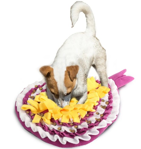 Koera nuuskimismatt, sibul Onion Snuffle Mat...