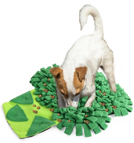 Nuuskimismatt, brokoli Broccoli Snuffle Mat...