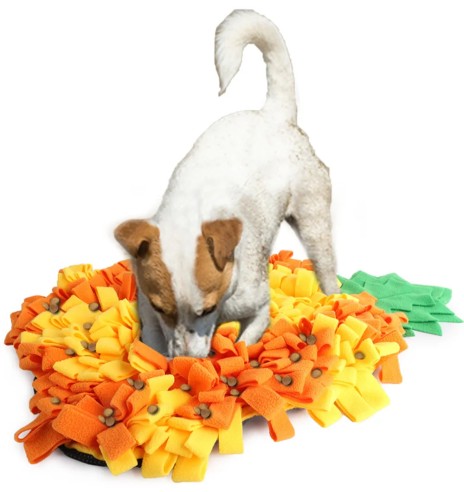 Nuuskimismatt, ananass Pineapple Snuffle Mat...