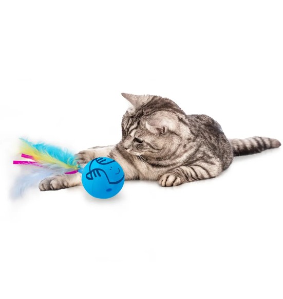 Kassi mänguasi, pöörlev pall Dizzy Spinner (AFP - Modern Cat)