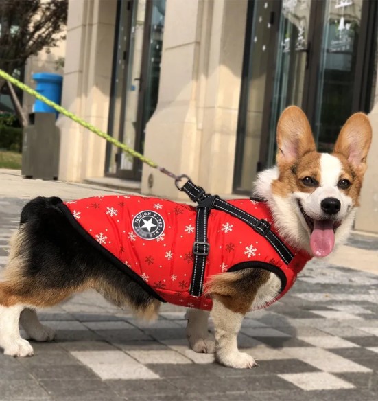 Koera talvejope traksidega, punane Snowflakes (VPETBR-D59)