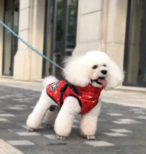 Koera talvejope traksidega, punane Snowflakes...