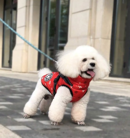 Koera talvejope traksidega, punane Snowflakes (VPETBR-D59)