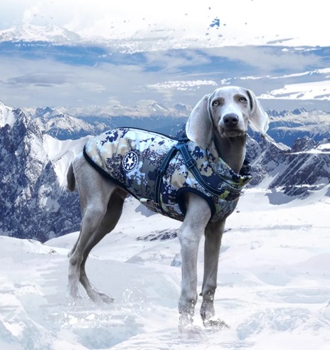 Koera talvejope traksidega, kamuflaaž (VPETBR-D60)