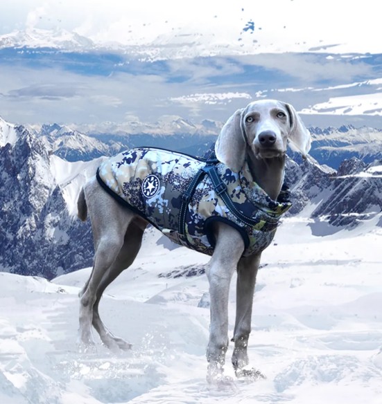 Koera talvejope traksidega, kamuflaaž (VPETBR-D60)