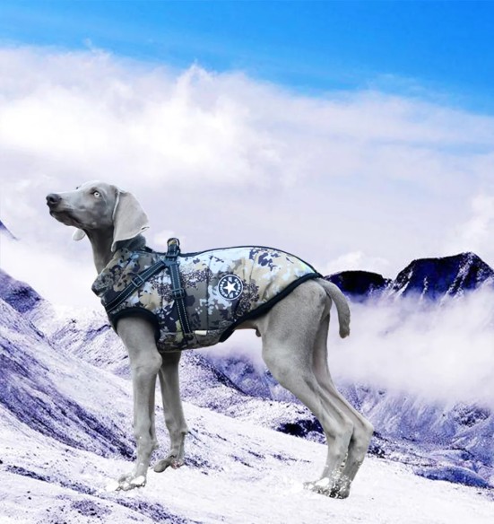 Koera talvejope traksidega, kamuflaaž (VPETBR-D60)