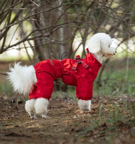 Дождевик для собак с вшитой шлейкой, с длинными...