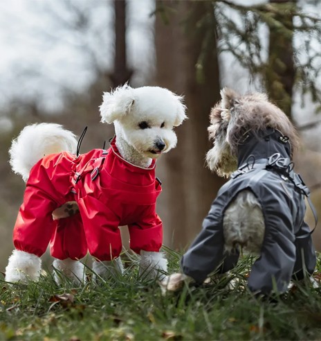 Дождевик для собак с вшитой шлейкой, с длинными...