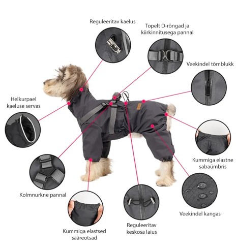 Koera vihmajope traksidega, pikad sääred, hall...