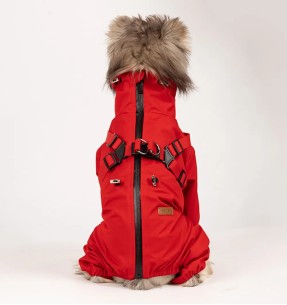 Šampoon White Dog, valge karvastikuga koertele ja kassidele, kaeraekstraktiga (Caniderm)–Šampoonid ja palsamid–Caniderm–Valgekihv 2