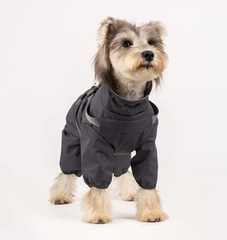 Koera vihmajope traksidega, pikad sääred, hall...