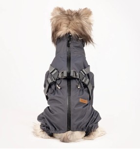 Koera auto iste, turvatool õhkpadjaga autosse (AFP - Travel Dog)–Koera pesad autosse–AFP - All For Paws–Valgekihv 2