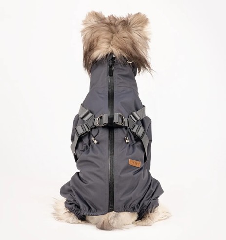 Koera vihmajope traksidega, pikad sääred, hall...