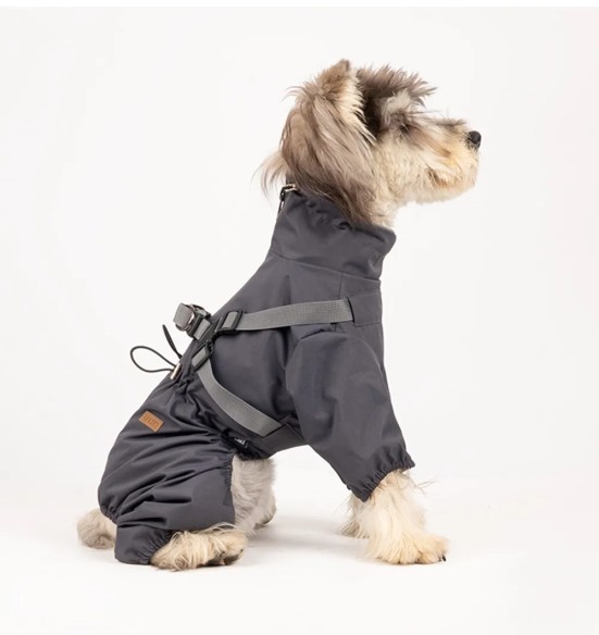 Koera vihmajope traksidega, pikad sääred, hall (VPETBR-R60)