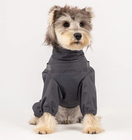 Koera vihmajope traksidega, pikad sääred, hall...