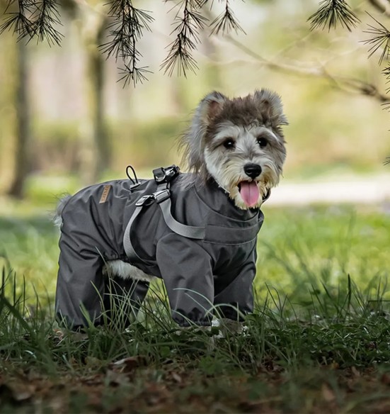 Koera vihmajope traksidega, pikad sääred, hall (VPETBR-R60)