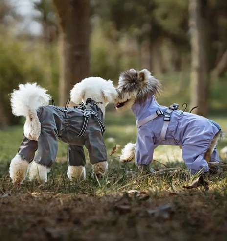 Koera vihmajope traksidega, pikad sääred, hall...