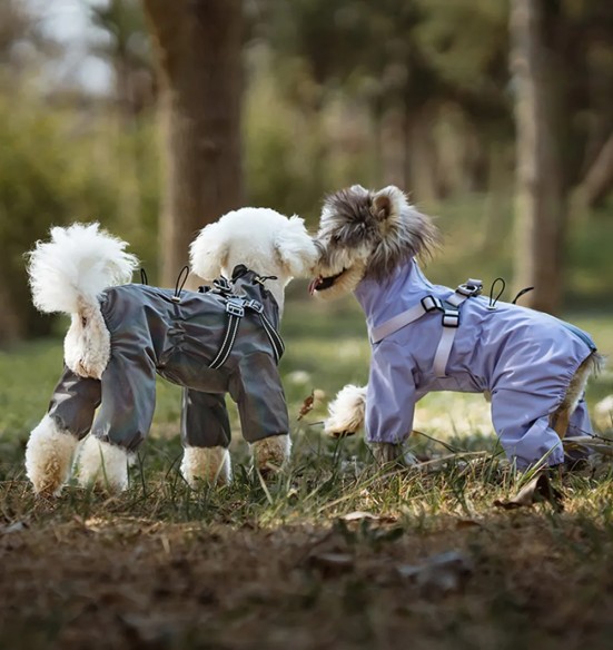 Koera vihmajope traksidega, pikad sääred, lilla (VPETBR-R60)