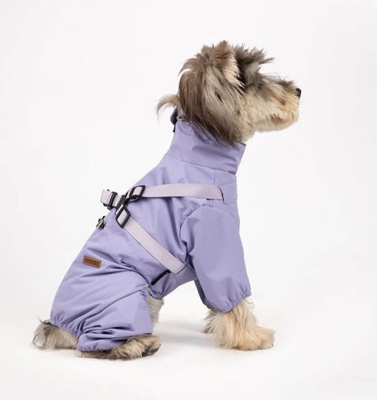 Koera vihmajope traksidega, pikad sääred, lilla (VPETBR-R60)