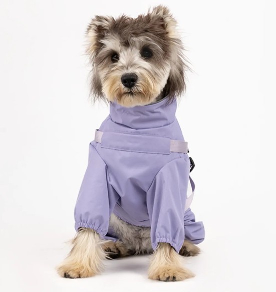 Koera vihmajope traksidega, pikad sääred, lilla (VPETBR-R60)