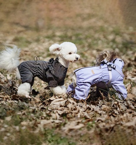 Дождевик для собак с вшитой шлейкой, с длинными...