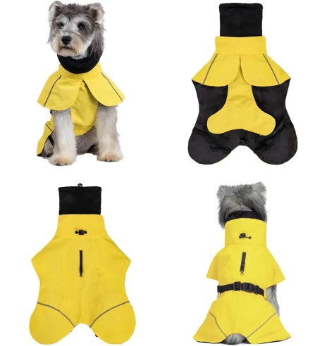 Koera vihmajope torusalliga, kollane (VPETBR-R53)