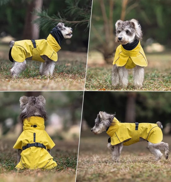 Дождевик для собаки с шарфом-трубой, желтый (VPETBR-R53)