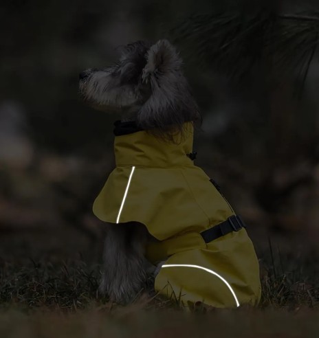 Koera vihmajope torusalliga, kollane (VPETBR-R53)