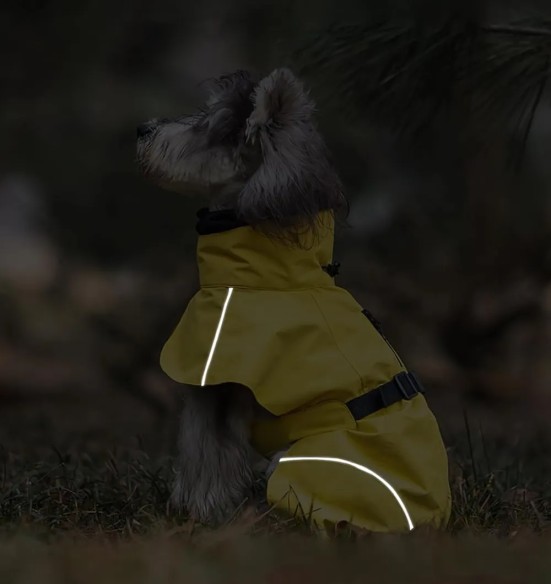 Koera vihmajope torusalliga, kollane (VPETBR-R53)