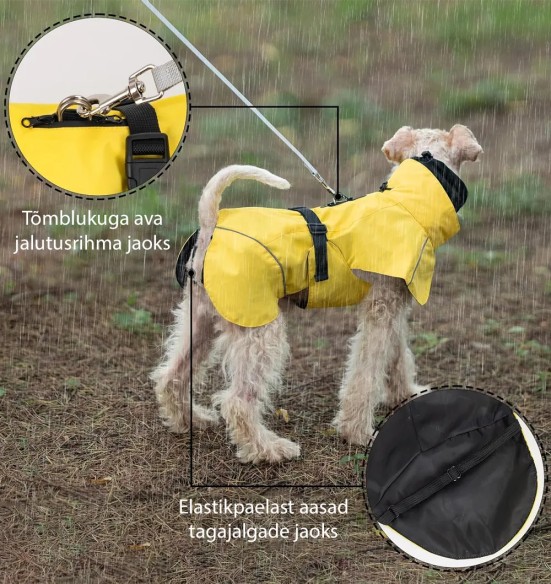 Koera vihmajope torusalliga, kollane (VPETBR-R53)