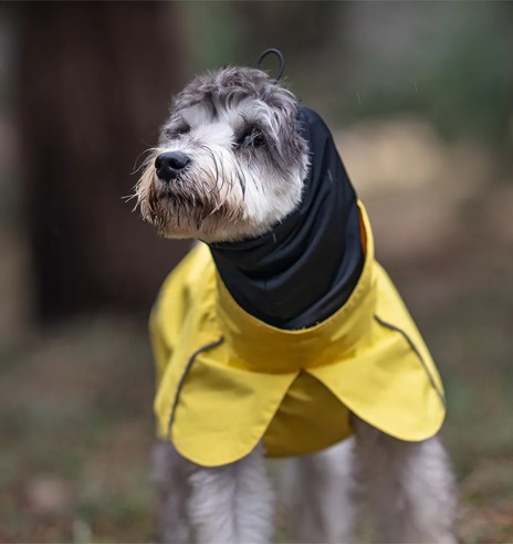 Дождевик для собаки с шарфом-трубой, желтый...