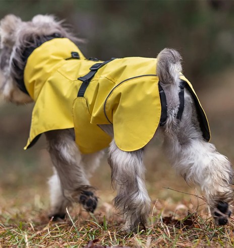 Дождевик для собаки с шарфом-трубой, желтый...