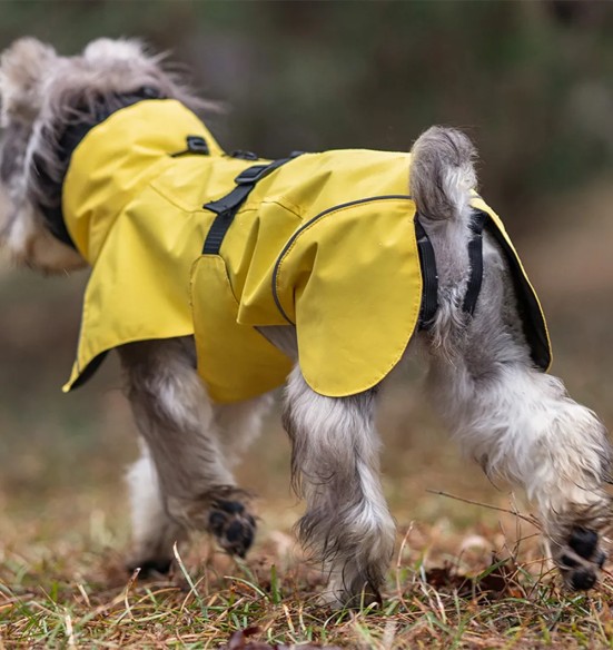 Koera vihmajope torusalliga, kollane (VPETBR-R53)