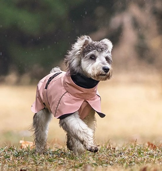 Koera vihmajope torusalliga, roosa (VPETBR-R53)