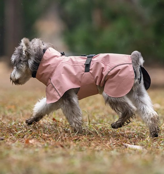 Koera vihmajope torusalliga, roosa (VPETBR-R53)